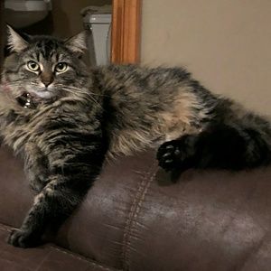 Meet your Posher, Olivia